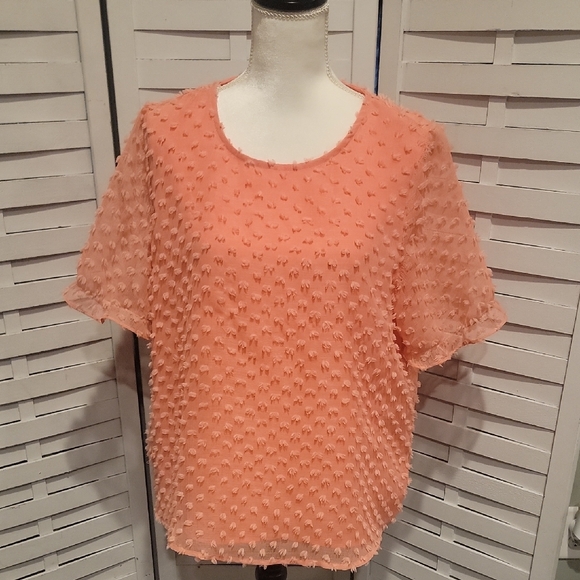 Cupio Tops - Cupio‎ Peach Lined Blouse Size XL